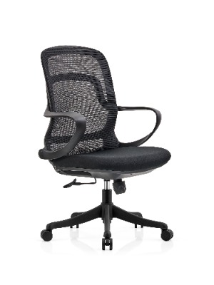 Lumbar Support Chairs Office Chairs